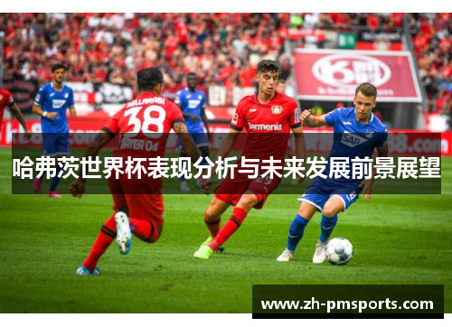 哈弗茨世界杯表现分析与未来发展前景展望