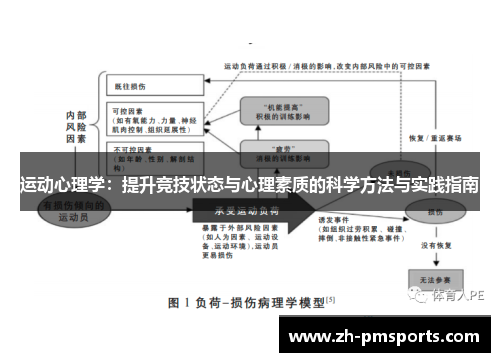 运动心理学：提升竞技状态与心理素质的科学方法与实践指南
