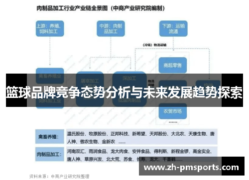 篮球品牌竞争态势分析与未来发展趋势探索