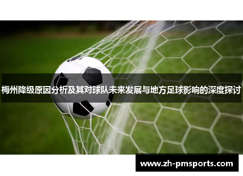 梅州降级原因分析及其对球队未来发展与地方足球影响的深度探讨
