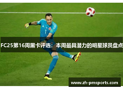 FC25第16周黑卡评选：本周最具潜力的明星球员盘点
