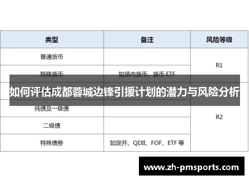 如何评估成都蓉城边锋引援计划的潜力与风险分析
