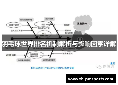 羽毛球世界排名机制解析与影响因素详解