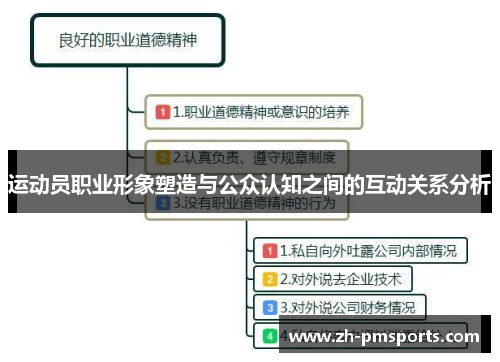 运动员职业形象塑造与公众认知之间的互动关系分析