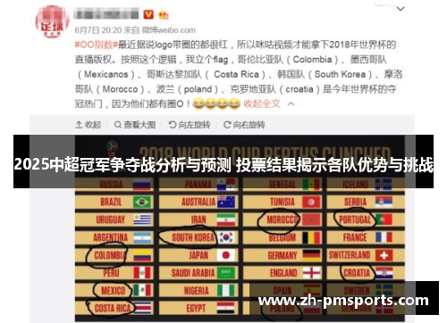 2025中超冠军争夺战分析与预测 投票结果揭示各队优势与挑战