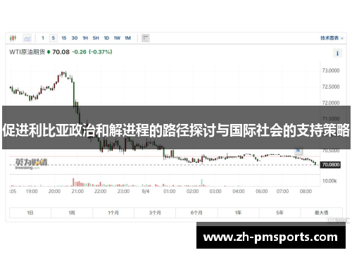 促进利比亚政治和解进程的路径探讨与国际社会的支持策略