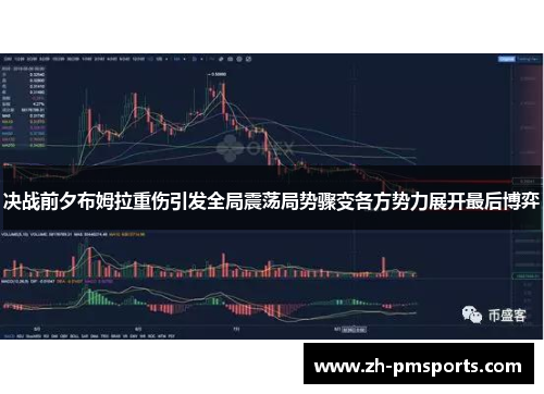 决战前夕布姆拉重伤引发全局震荡局势骤变各方势力展开最后博弈