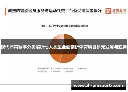 现代体育赛事分类解析七大类型全面剖析体育项目多元发展与趋势
