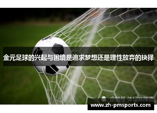 金元足球的兴起与困境是追求梦想还是理性放弃的抉择