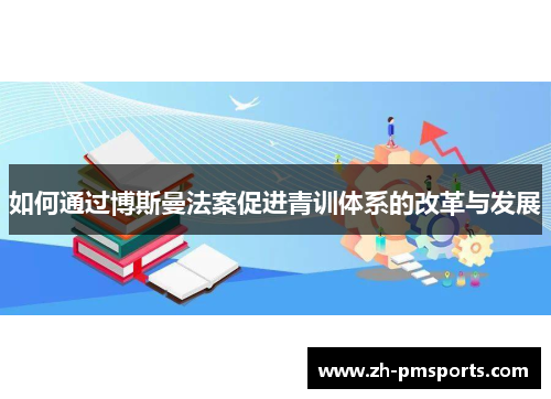 如何通过博斯曼法案促进青训体系的改革与发展